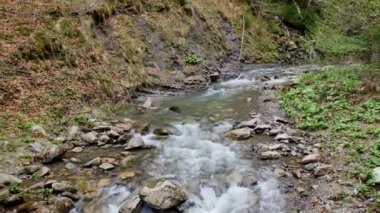Carpathia Dağları 'nda vahşi nehir çağlayanı.