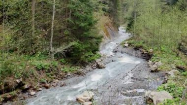 Carpathia Dağları 'nda vahşi nehir çağlayanı.