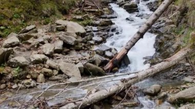 Carpathia Dağları 'nda vahşi nehir çağlayanı.