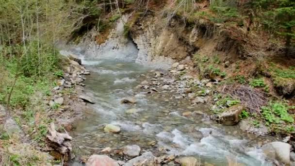 Carpathia Dağları Nda Vahşi Nehir Çağlayanı — Stok video