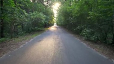 Şehirde bisiklet süren birinin POV fotoğrafı..