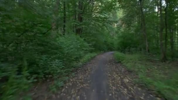 Persona Bicicletta Nella Foresta Flycam Liscio Scatto Gimbale Dell Attività — Video Stock