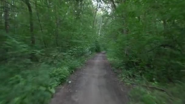 Persona Bicicletta Nella Foresta Flycam Liscio Scatto Gimbale Dell Attività — Video Stock