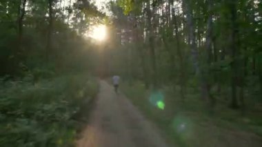 Ormanda bisiklete binen biri. Pürüzsüz uçuş kamerası, spor aktivitelerinin titreşimli görüntüsü.