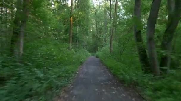 Άνθρωπος Που Κάνει Ποδήλατο Στο Δάσος Ομαλή Flycam Gimbal Πλάνο — Αρχείο Βίντεο