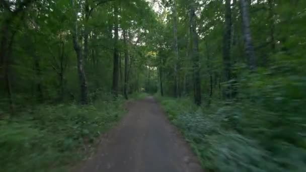 Person Mit Fahrrad Wald Glatte Schwungkamera Gimbal Aufnahme Sportlicher Aktivität — Stockvideo