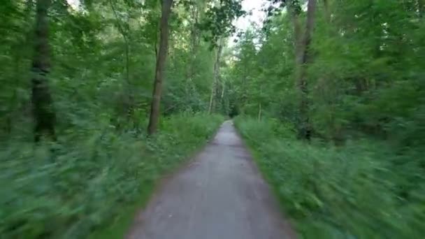 Pessoa Andando Bicicleta Floresta Flycam Liso Tiro Gimbal Atividade Esporte — Vídeo de Stock