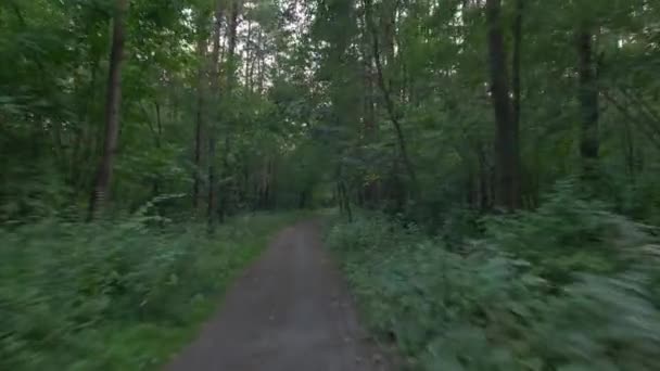在森林里骑自行车的人 光滑的凸轮 体育活动的弹弓射击 — 图库视频影像