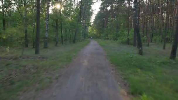 Jeździć Rowerze Lesie Płynna Flycam Gimbal Shot Aktywności Sportowej — Wideo stockowe