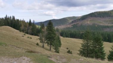 Avrupa 'daki güzel dağ ve orman manzarası. 