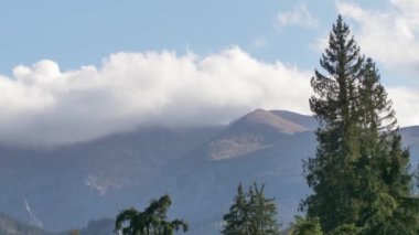 Avrupa 'daki güzel dağ ve orman manzarası.
