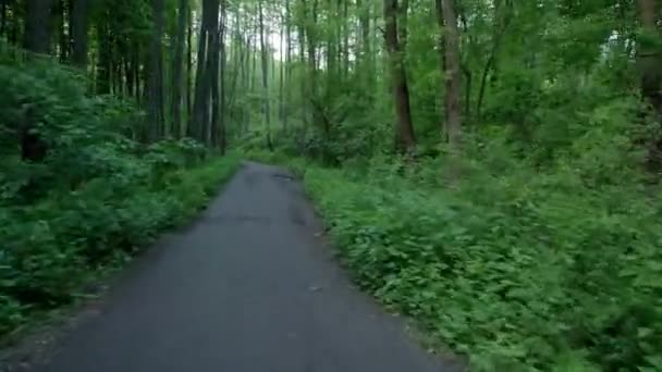 Persona Montando Bicicleta Bosque Flycam Suave Tiro Cardán Actividad Deportiva — Vídeos de Stock