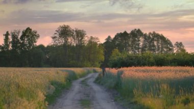 Tarlaların ortasındaki kırsal yol.