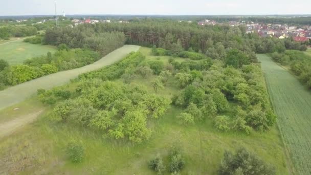 Vista Aérea Del Paisaje Rural — Vídeos de Stock