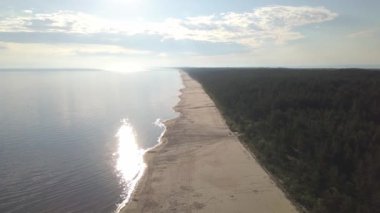 Baltık Denizi 'ndeki kumsal manzarası