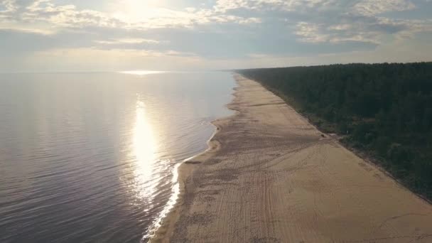 Aerial View Beach Baltic Sea — Stock Video