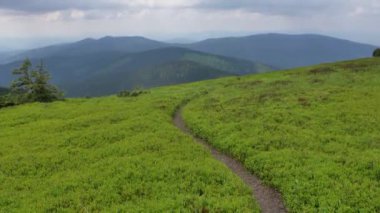 Polonya 'daki Beskid Zywiecki dağları. Güneşli yaz gününde yeşil tepelerin güzel manzarası.