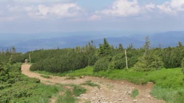 Polonya 'daki Beskid Zywiecki dağları. Güneşli yaz gününde yeşil tepelerin güzel manzarası.