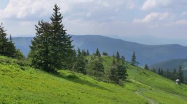 Polonya 'daki Beskid Zywiecki dağları. Güneşli yaz gününde yeşil tepelerin güzel manzarası.