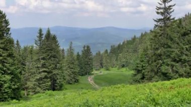 Polonya 'daki Beskid Zywiecki dağları. Güneşli yaz gününde yeşil tepelerin güzel manzarası.
