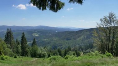Polonya 'daki Beskid Zywiecki dağları. Güneşli yaz gününde yeşil tepelerin güzel manzarası.