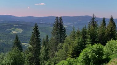 Polonya 'daki Beskid Zywiecki dağları. Güneşli yaz gününde yeşil tepelerin güzel manzarası.