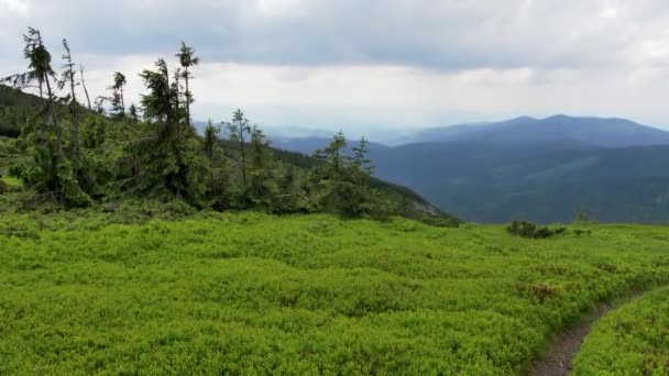 Beskid Zywiecki Bergen Polen Vackert Landskap Gröna Kullar Solig Sommardag — Stockvideo