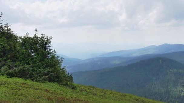 Beskid Zywiecki Polsce Piękny Krajobraz Zielonych Wzgórz Słoneczny Letni Dzień — Wideo stockowe