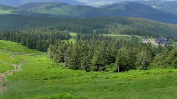 Beskid Zywiecki Polsce Piękny Krajobraz Zielonych Wzgórz Słoneczny Letni Dzień — Wideo stockowe