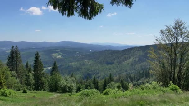 Beskid Zywiecki Vuoret Puolassa Kaunis Vihreiden Kukkuloiden Maisema Aurinkoisena Kesäpäivänä — kuvapankkivideo