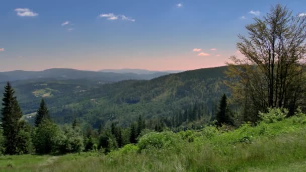 Beskid Zywiecki Polsce Piękny Krajobraz Zielonych Wzgórz Słoneczny Letni Dzień — Wideo stockowe