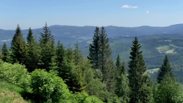 Beskid Zywiecki Polsce Piękny Krajobraz Zielonych Wzgórz Słoneczny Letni Dzień — Wideo stockowe