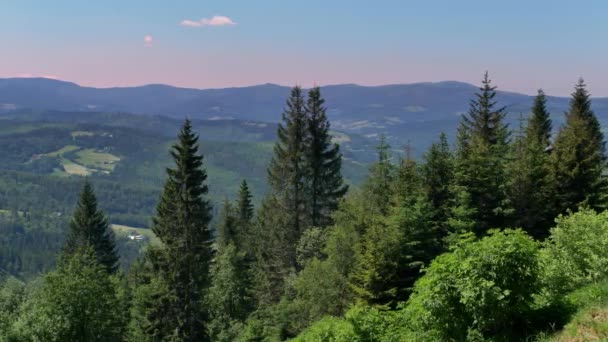ポーランドのベスキディ ジウィエツキ山 晴れた夏の日に緑の丘の美しい風景 — ストック動画