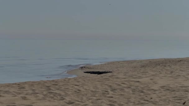 Persone Che Rilassano Sulla Spiaggia Del Mar Baltico Tramonto — Video Stock