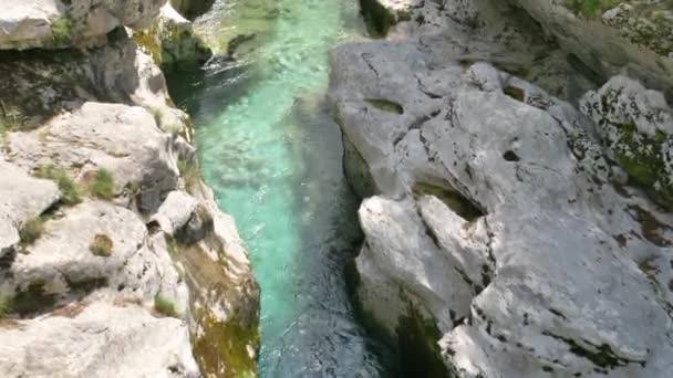 Rio Água Branca Soca Alpes Eslovenos Bela Natureza Eslovénia — Vídeo de Stock