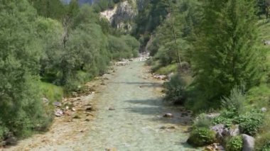 Beyaz su nehri Soca, Sloven Alplerinde. Slovenya 'nın güzel doğası.