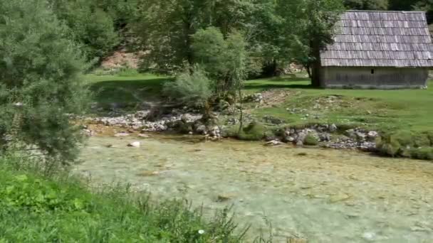Белая Река Сока Словенских Альпах Красивая Природа Словении — стоковое видео