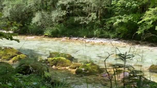 Wildwasserfluss Soca Den Slowenischen Alpen Schöne Natur Sloweniens — Stockvideo