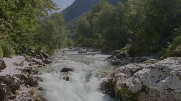 Vitt Vatten Floden Soca Sloveniska Alperna Sloveniens Vackra Natur — Stockvideo