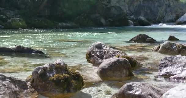 Beyaz Nehri Soca Sloven Alplerinde — Stok video