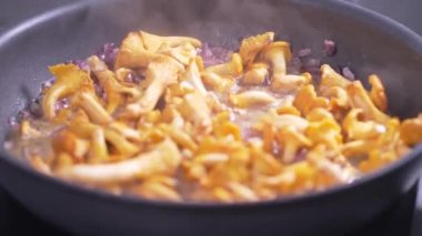 Chanterelles mantar sosu hazırlamak - geleneksel Polonya sosu.