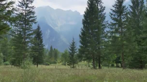 スロベニアのジュリアン アルプス 曇りの日の美しい山 — ストック動画