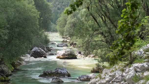 スロベニアアルプスの白い水の川ソカ — ストック動画