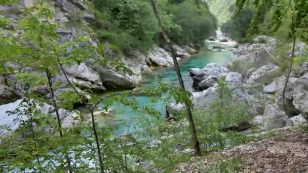 Λευκός Ποταμός Soca Στις Σλοβενικές Άλπεις — Αρχείο Βίντεο