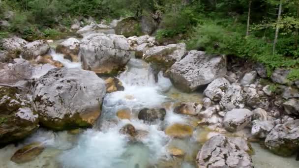 草甸阿尔卑斯山中的Soca白河 — 图库视频影像
