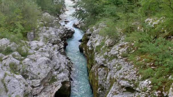 Soca Folyó Legjobb Folyó Kanyonzás Alpokban — Stock videók