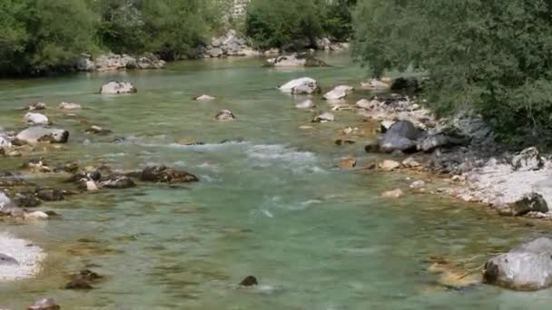 草甸阿尔卑斯山中的Soca白河 — 图库视频影像