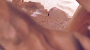 Noel için zencefilli kurabiye hazırlıyorum..