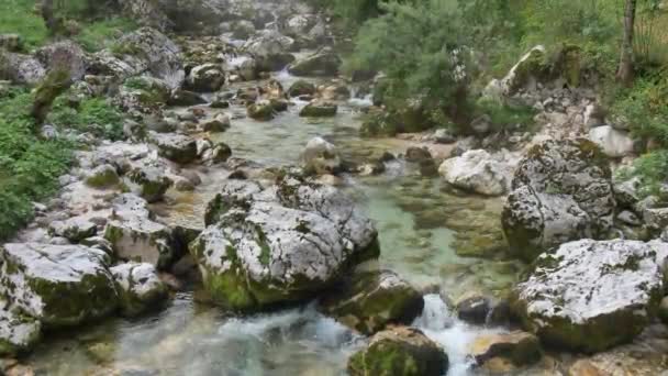 Rio Água Branca Soca Alpes Eslovenos — Vídeo de Stock