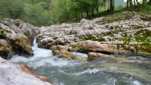 Beyaz Nehri Soca Sloven Alplerinde — Stok video